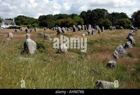 Certains des menhirs datant de 4000, entre 5000 et 2000 avant J.-C., situé dans l'alignement de plus de 4 km près de Carnac en Bretagne Sud Banque D'Images