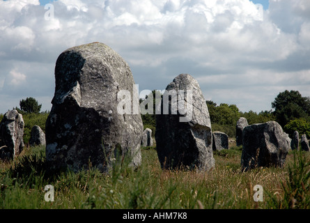 Certains des menhirs datant de 4000, entre 5000 et 2000 avant J.-C., situé dans l'alignement sur 4 km près de Carnac en Bretagne Sud Banque D'Images