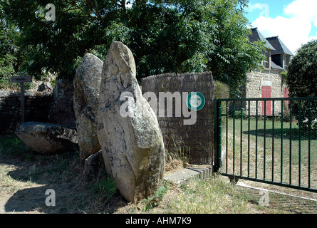 Au Ménec village près de Carnac en Bretagne sont quelques-uns des 4000 menhirs debout des alignements de plus de 4 km dans les champs voisins Banque D'Images