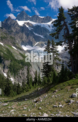 North Cascades National Park, WA : face ouest du mont Shuksan avec Curtis Glacier Banque D'Images