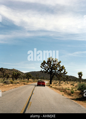 Un groupe de disques sur Park Boulevard sur la façon d'afficher les touches dans Joshua Tree National Park California USA Banque D'Images