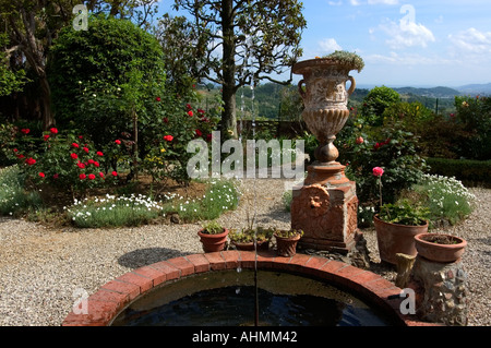 Villa Fattoria Maionchi Maionchi olive Vin Huile d'Oilive Lucca Jardin calme la paix Banque D'Images