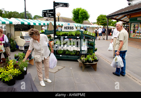 Marché hebdomadaire de plein air à Haverfordwest Pembrokeshire West Wales UK Banque D'Images
