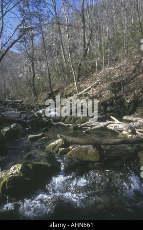 Blanchard Springs Trail, monts Ozark, Arkansas, États-Unis Banque D'Images