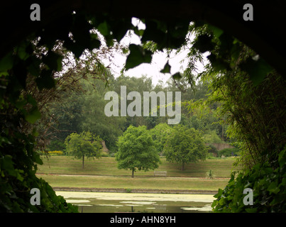 Regarder à travers les arbres pour l'Aigle de l étang à Newstead Abbey, Nottinghamshire UK Banque D'Images