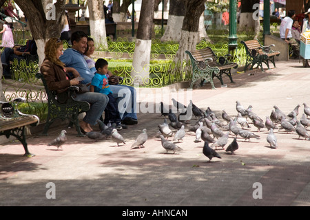 Nourrir les pigeons dans la Plaza de 25 de Mayo, Sucre, Altiplano, Bolivie Banque D'Images