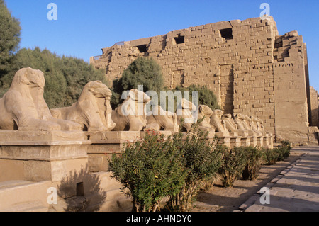 L'Égypte, Le Temple de Karnak. Comme vous vous approchez le Temple une avenue de Sphinx tête Ram dans l'avant-cour vous saluent. Banque D'Images