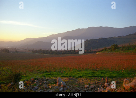 Coucher de soleil sur le vignoble avec les Andes en arrière-plan Bodega Altair dans la région del Maule Chili Banque D'Images