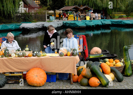 Pumpkins en vente sur le marché, l'Allemagne de Luebbenau Banque D'Images