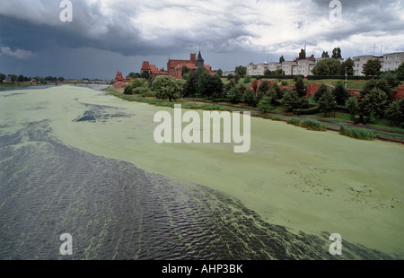 Château de Malbork sur la Rivière Nogat, Pologne Banque D'Images