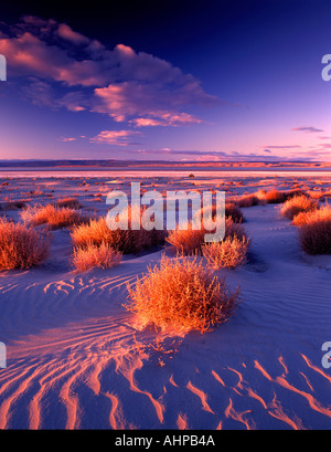 M00173M tiff Sand Dunes in Malheur National Wildlife Refuge avec Harney Lake Michigan Banque D'Images