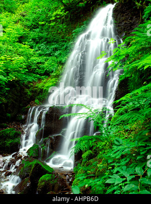 M00207M tiff Fairy Falls Columbia River Gorge National Scenic Area Oregon Banque D'Images