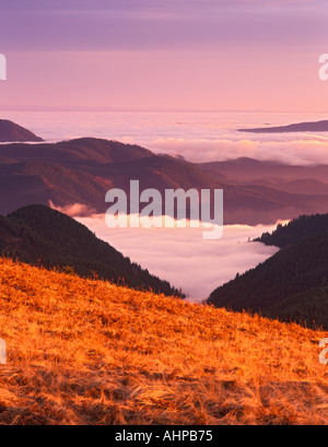 Vue du coucher de soleil avec du brouillard dans les vallées de la Forêt Nationale de Siuslaw vus de Mary Peak Oregon Banque D'Images