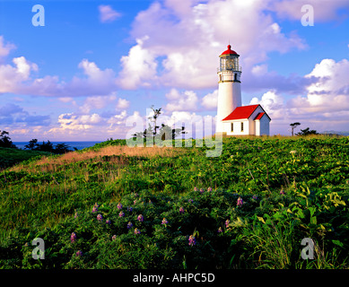 Le phare de Cape Blanco et de fleurs sauvages de l'Oregon avec des nuages de lupin Banque D'Images