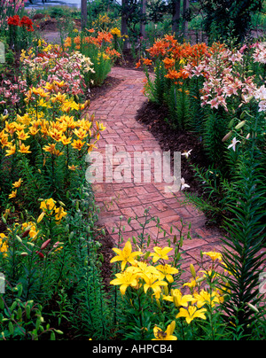 Lys multicolores et chemin de brique centre horticole de la Colombie-Britannique Canada du Pacifique Banque D'Images