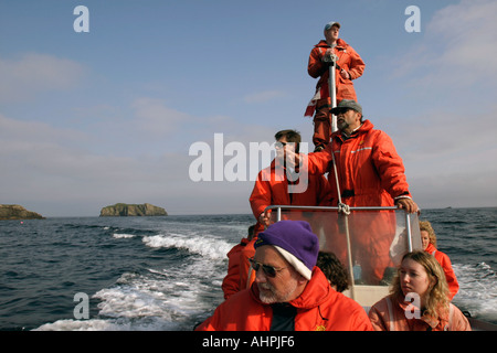 Un zodiac plein de gens sur un voyage d'observation des baleines dans la baie Trinity Bonavista Peninsula Newfoundland Canada Banque D'Images