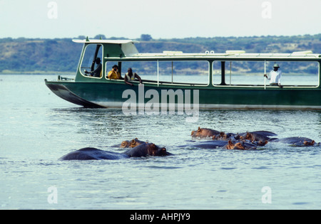 La photographie hippo du lancement national du Canal de Kazinga Parc national Queen Elizabeth en Ouganda Banque D'Images