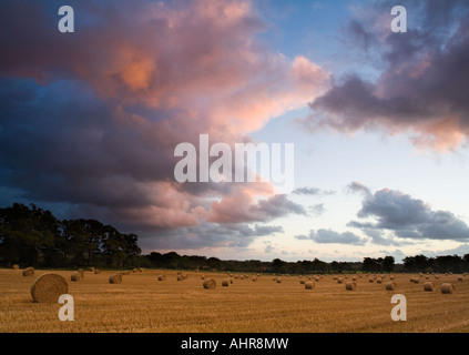 Lever du soleil au moment de la récolte à Norfolk en Angleterre Banque D'Images