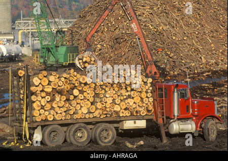 L'ajout de grues des journaux au grand tas de bois prêt à être transformé en papier à l'usine de papier Boise Cascade dans la région de Rumford Maine Banque D'Images