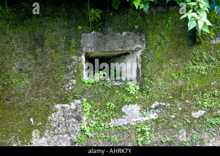 Bunker en béton attaché à mille homme de guerre pendant japonais grotte ruines bunker en béton Peleliu Palau Banque D'Images