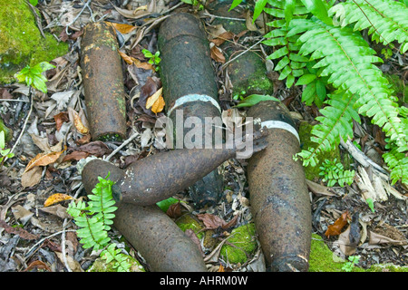 Munitions non explosées des munitions de la DEUXIÈME GUERRE MONDIALE Japonais relique de guerre ruines Peleliu Palau Banque D'Images