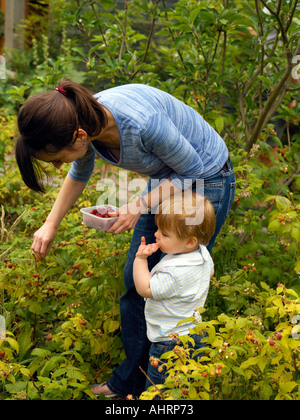 Mère et fils de 18 mois la collecte de framboises Banque D'Images