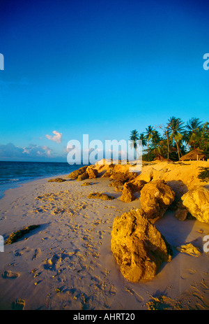 Rochers sur la plage à Pigeon Point à Tobago Trinidad Banque D'Images