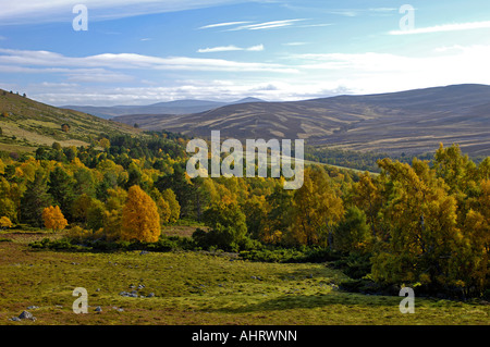 Glen Gairn à l'automne sur la route entre Tomintoul et à Ballater Aberdeenshire Royal Deeside Banque D'Images