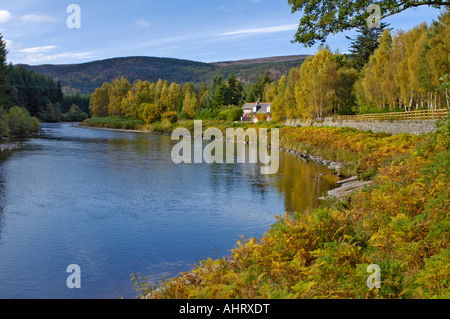 La rivière Dee à Cambus o' peut l'Aberdeenshire Ecosse Banque D'Images