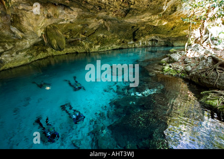 Quatre plongeurs se préparer pour explorer un cenote (Mexique). Quatre plongeurs sous marins explorant un cénote (Mexique). Banque D'Images