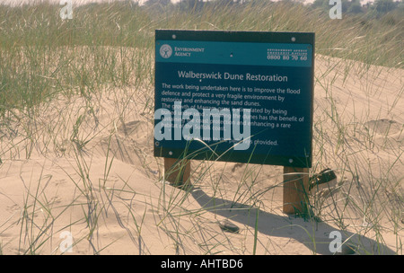 La restauration des dunes Suffolk Angleterre Walberswick Banque D'Images