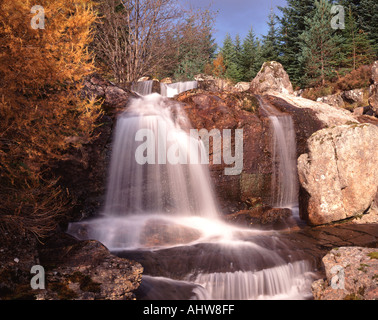 UK Ecosse Inverness Shire Chute d'automne par Loch Laggan Banque D'Images