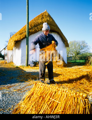 Au travail thatchers Banque D'Images