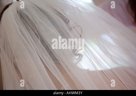 La vue d'un voile de brides derrière montrant les boucles dans ses cheveux pris à l'intérieur Banque D'Images