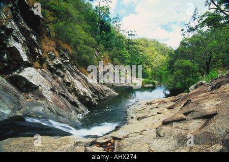 Cedar Creek falls, Tamborine mountain, l'arrière-pays de la Gold Coast, Queensland, Australie Banque D'Images