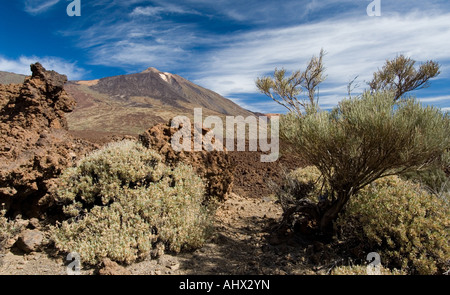 Parc national del Teide Tenerife Espagne Banque D'Images