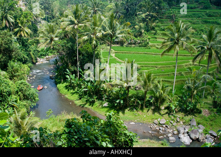 Gorges de la rivière Ayung Rafting des terrasses de riz Ubud Bali Indonésie Banque D'Images