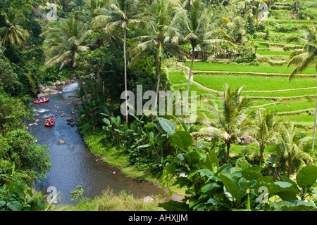 Gorges de la rivière Ayung Rafting des terrasses de riz Ubud Bali Indonésie Banque D'Images