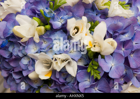 Mariages bouquet de freesia et de fleurs d'hortensias Banque D'Images