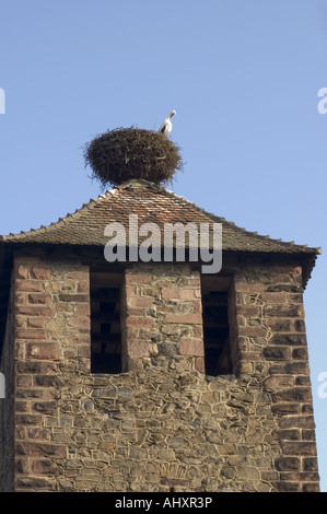 Une cigogne dans son nid au sommet d'une tour médiévale à Kaysersberg, Alsace France. Banque D'Images