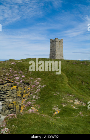 Dh Marwick Head BIRSAY ORKNEY Kitchener Memorial sur la réserve naturelle d'oiseaux RSPB Thrift fleurs sur gerpinnes Banque D'Images