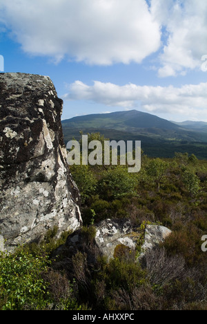 Dh Mountain Station House STRATHTUMMEL rochers escarpés du perthshire et jeune arbre broussailles Banque D'Images