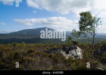 Dh Mountain Station House STRATHTUMMEL rochers escarpés du Perthshire jeune arbre garrigues et gamme de montagne Banque D'Images