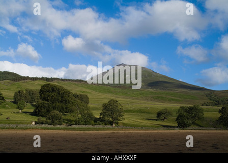 Dh Mountain Station House STRATHTUMMEL champ arbres perthshire et pente à flanc de montagnes Munro Banque D'Images