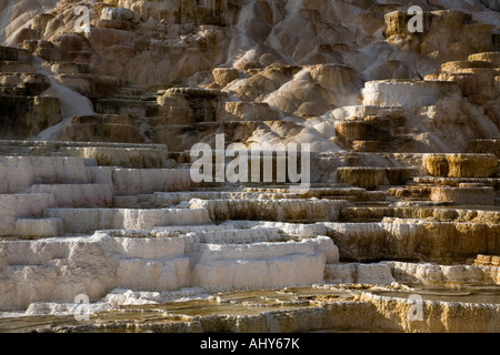 Printemps Palette, Mammoth Hot Springs, Parc National de Yellowstone, Wyoming, Automne 2006 Banque D'Images