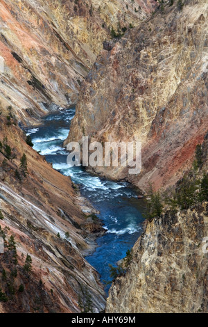 S'écoulant dans la rivière Yellowstone Grand Canyon de Yellowstone, le Parc National de Yellowstone, Wyoming Banque D'Images