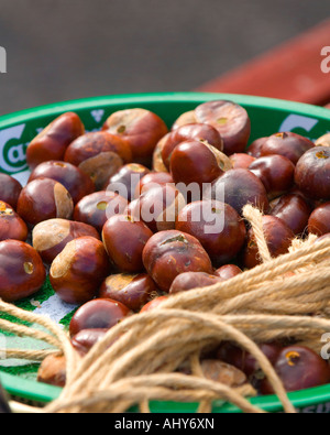 Un bol de conkers tendu et prêt à jouer. Photo par Jim Holden. Banque D'Images