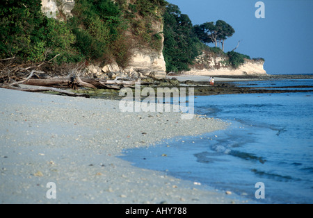 Bouton nord Island Iles Andaman en Inde Banque D'Images