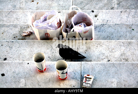 Pigeon au fast food jetés des conteneurs sur des mesures publiques Banque D'Images