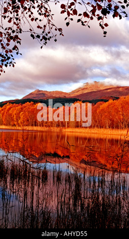 Vue d'AUTOMNE À BEN LOMOND DE LOCHEN SUR LE LOCH LOMOND Banque D'Images